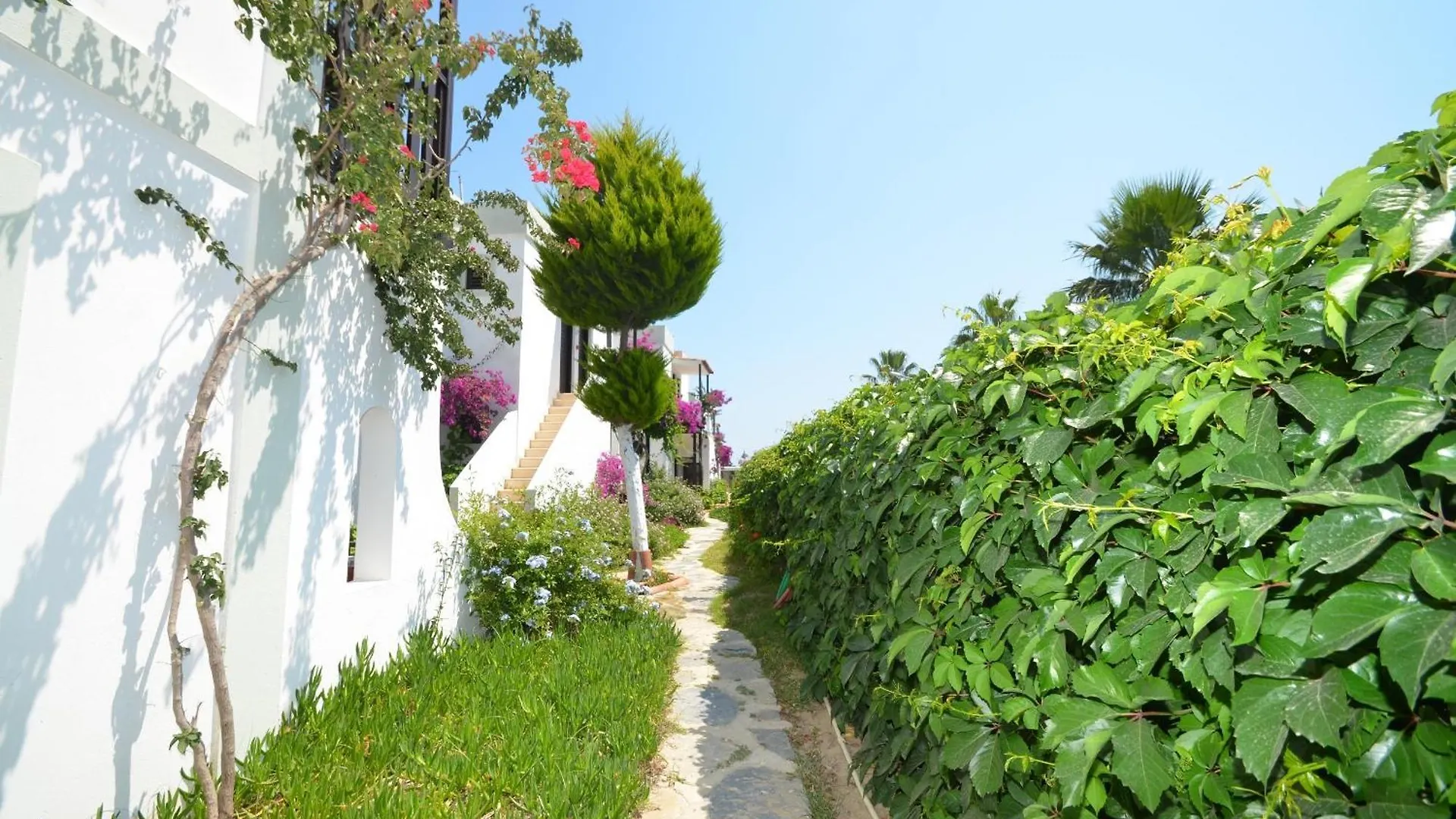 Salinas Beach Hotel Bodrum-Boutique Concept Gümbet