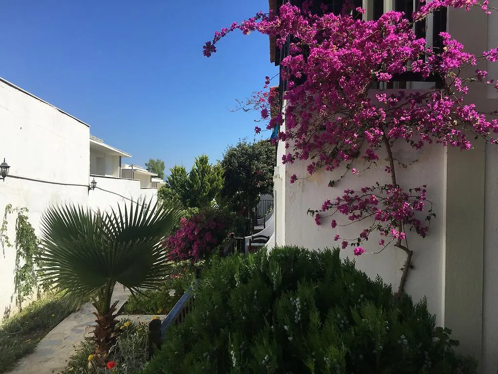 Salinas Beach Hotel Bodrum-Boutique Concept 검벳