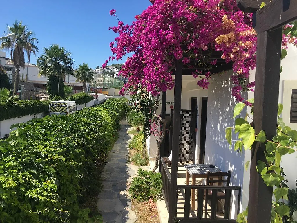 Salinas Beach Hotel Bodrum-Boutique Concept 검벳 터키
