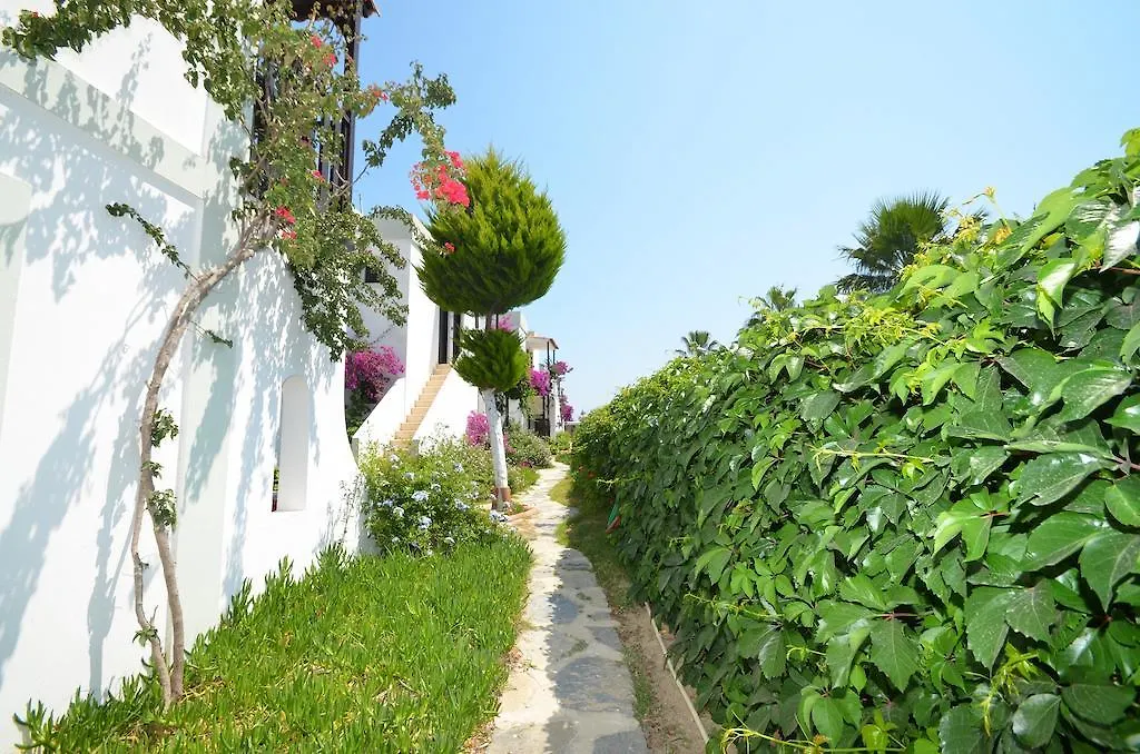 Salinas Beach Hotel Bodrum-Boutique Concept 검벳
